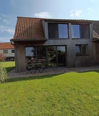 Belijn